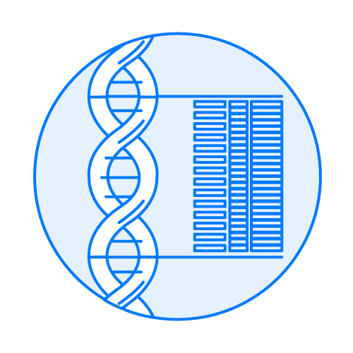 Sequence Genome Sequence Genome Graphic